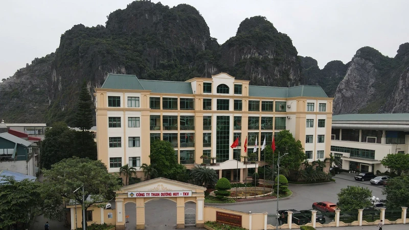 Chuyên gia nói gì về tỷ lệ tiết kiệm "siêu thấp" tại các gói thầu của Than Khe Chàm và Nam Mẫu? [Kỳ 3]