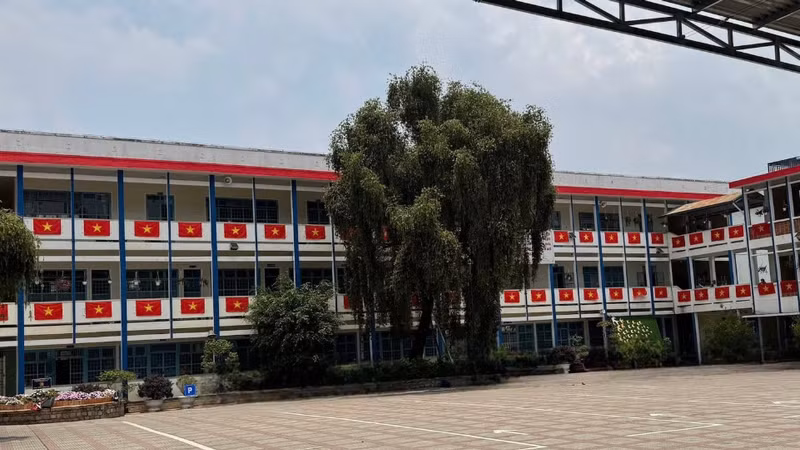 Đà Lạt: Hai gói thầu trường học hàng chục tỷ chỉ một nhà thầu tham dự