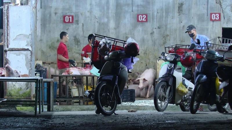 Có hay không việc 'thả nổi' kiểm dịch 90% thịt lợn ở Quảng Trị?