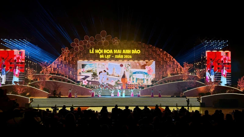 Mai anh đào vào mùa, Đà Lạt khai hội xuân 2026