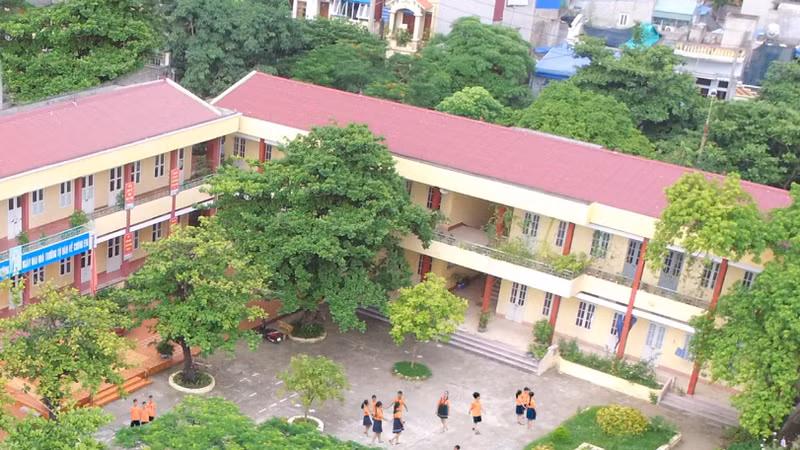 Lâm Đồng: Giá dự thầu thấp hơn 146 triệu đồng, Sơn Hà vẫn trượt gói thầu