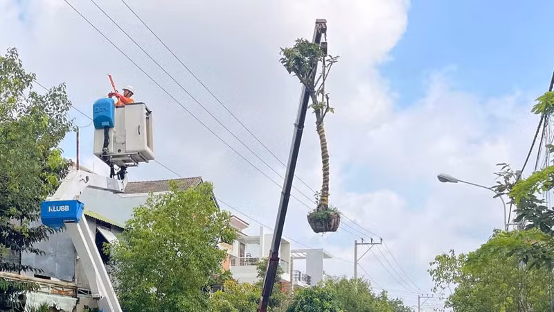 Lâm Đồng: Xe cẩu nghi vướng dây điện khiến 1 người tử vong