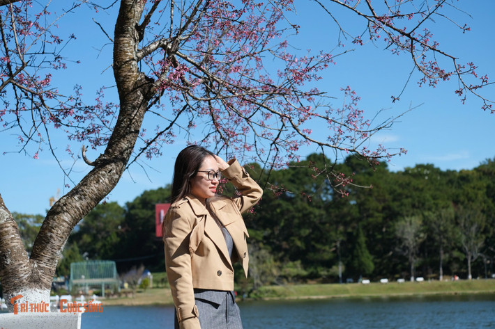 Không khí Tết vì thế cũng trở nên rộn ràng hơn, nhất là vào buổi sáng và chiều, khi lượng du khách đổ về khu vực trung tâm ngày một đông.