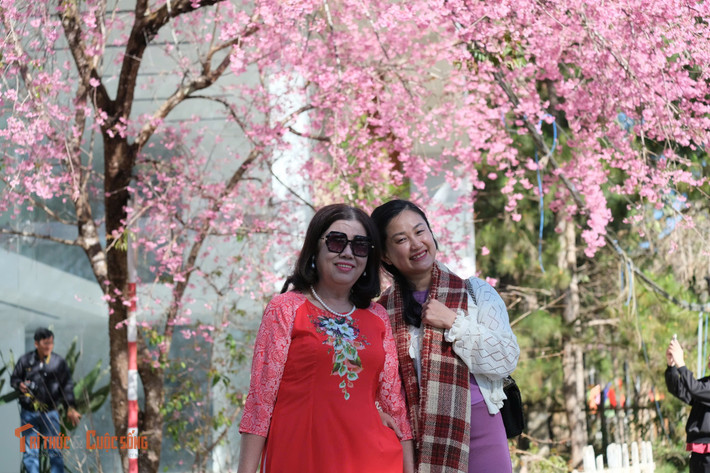 Càng sát Tết, khung cảnh phố núi càng trở nên thơ mộng, mang đến cảm giác yên bình, dễ chịu cho người dân và du khách.