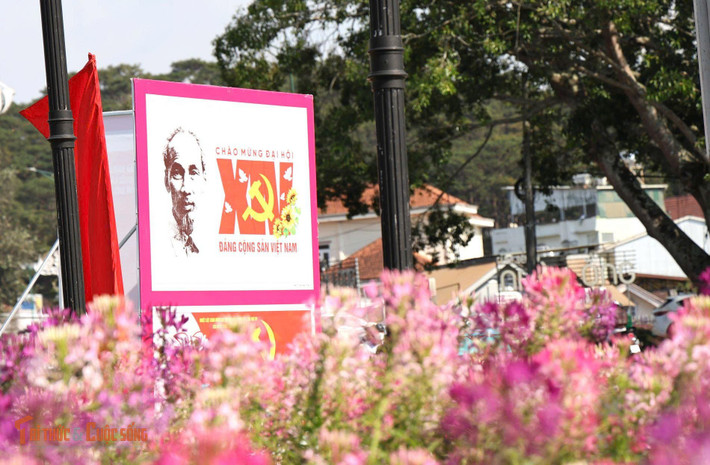Đà Lạt rực rỡ cờ hoa, panô, khẩu hiệu chào mừng Đại hội đại biểu toàn quốc lần thứ XIV của Đảng.