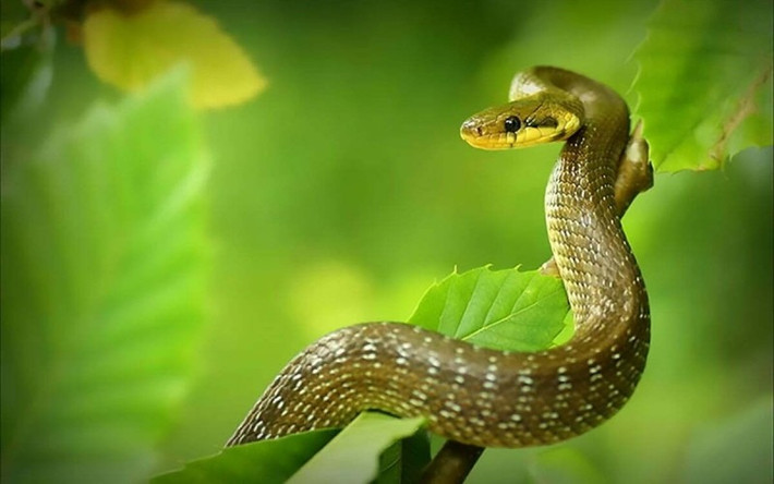 Họ có tầm nhìn xa, biết chuẩn bị từ sớm nên thường chiếm lợi thế khi thị trường thay đổi. Nhờ hiệu quả công việc rõ rệt, họ dễ lọt vào “mắt xanh” của lãnh đạo, chuyên gia hoặc nhà đầu tư.