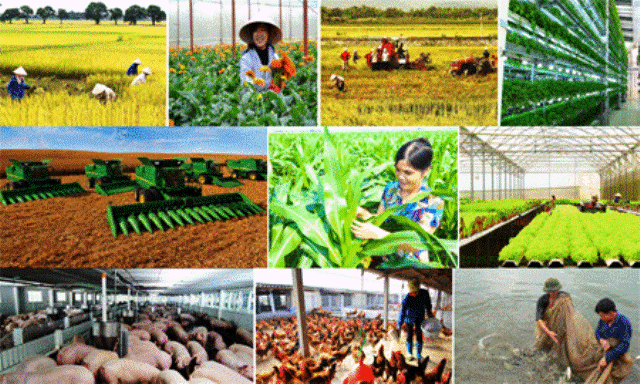 Cổ phiếu ngành Nông nghiệp: Lựa chọn nào cho năm 2023? Co phieu nganh Nong nghiep: Lua chon nao cho nam 2023?
