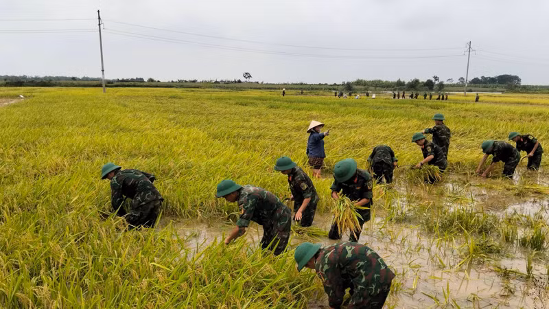 Sạt lở, ngập úng diện rộng ở Phú Thọ sau đợt mưa lớn kéo dài