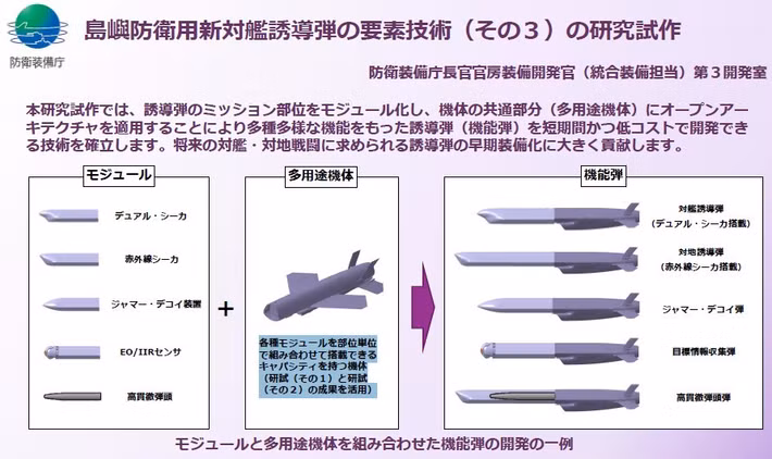 Các biến thể của thiết kế có thể hoạt động như mồi nhử chuyên dụng hoặc tài sản giám sát lượn vòng với khả năng bổ sung là ngay lập tức tiến hành tấn công các mục tiêu mà chúng tìm thấy. Tính mô-đun này cũng sẽ giúp dễ dàng bổ sung các đầu đạn mới, hệ thống tìm kiếm và các chức năng khác vào thiết kế trong tương lai.