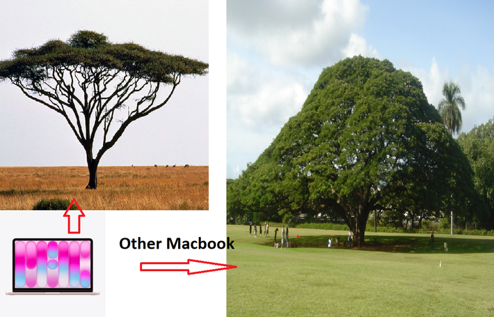 iFixit sử dụng một phép so sánh khá ấn tượng về sơ đồ tháo lắp của Macbook NEO: "Chúng tôi muốn nó phẳng, với càng ít linh kiện cản trở lẫn nhau càng tốt. Ngay khi tháo nắp lưng của Neo, chúng tôi đã rất ấn tượng. Sơ đồ này giống cây keo hơn là cây máng đũa".