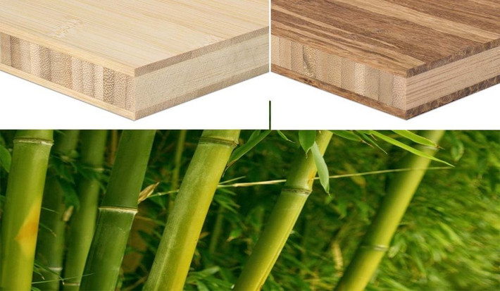 Qin Daochun, Giám đốc Trung tâm Tre - trưởng nhóm dự án, tuyên bố rằng vật liệu tổng hợp từ tre cần đáp ứng các yêu cầu cơ học nghiêm ngặt mà còn cần vượt qua nhiều thách thức kỹ thuật như quy trình tạo khuôn và khả năng thích ứng môi trường. Vật liệu tổng hợp từ tre do nhóm phát triển đã đạt được sự kết hợp giữa độ bền cao, độ dẻo dai lớn và khả năng tạo hình tốt.