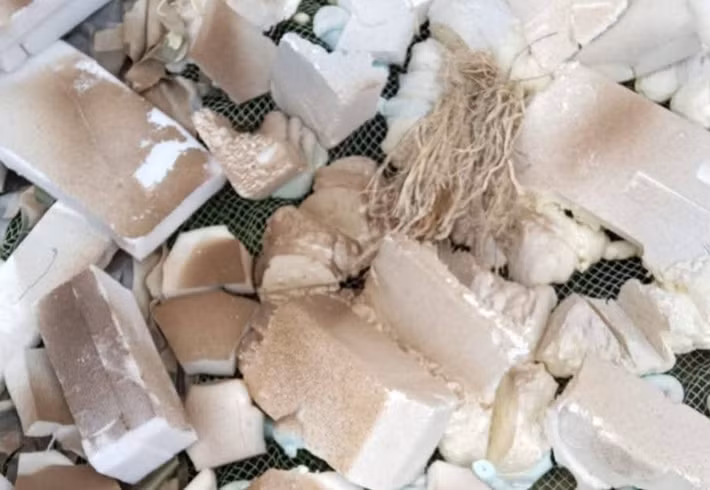 Họ cho biết quân đội đã phản hồi tích cực về loại lưới này. Nó có trọng lượng nhẹ nhưng lại cồng kềnh, điều này gây ra một số khó khăn trong quá trình vận chuyển.