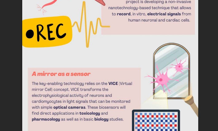 Nhóm nghiên cứu đang ứng dụng công nghệ nano để phát triển “tế bào gương ảo”, có khả năng chuyển đổi hoạt động điện sinh lý của tế bào thần kinh và cơ tim thành tín hiệu ánh sáng, từ đó hỗ trợ theo dõi độc tính thần kinh và tim mạch với độ chính xác cao.