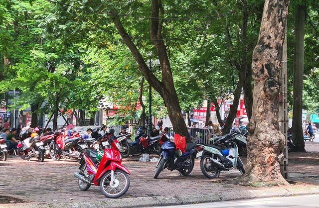 Hà Nội: Nhiều người không đeo khẩu trang, tụ tập bán trà đá - Hình 2 Ha Noi: Nhieu nguoi khong deo khau trang, tu tap ban tra da-Hinh-2