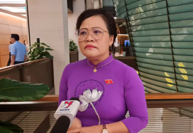 Dai bieu Quoc hoi Phan Xuan Dung: Mot ky hop Quoc hoi dac biet, thanh cong-Hinh-2