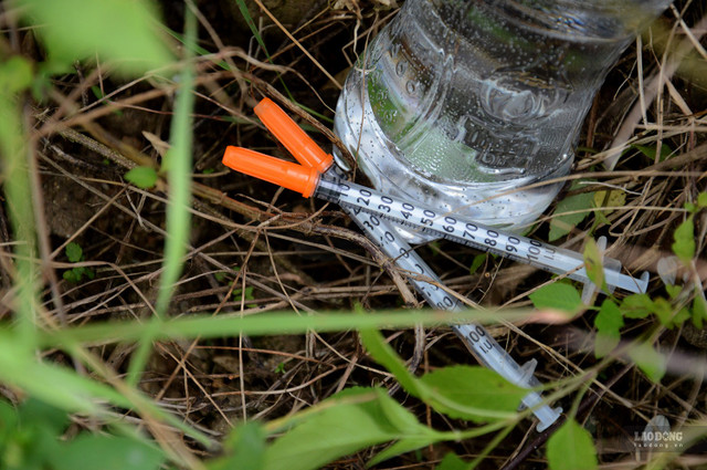 Can canh du an cong vien Thien But thanh noi tiem chich ma tuy-Hinh-10