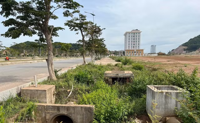 Tien do du an 5.000 ty o Quy Nhon cua lien danh Tap doan Phuc Loc - Thanh An-Hinh-11