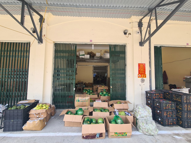 Ninh Binh: Vi sao tieu thuong cho Nam Thanh cang bang ron “keu cuu“?-Hinh-6