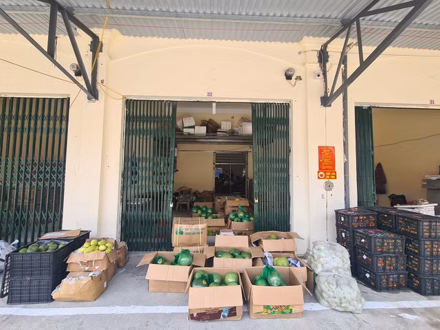 Ninh Binh: Vi sao tieu thuong cho Nam Thanh cang bang ron “keu cuu“?-Hinh-6