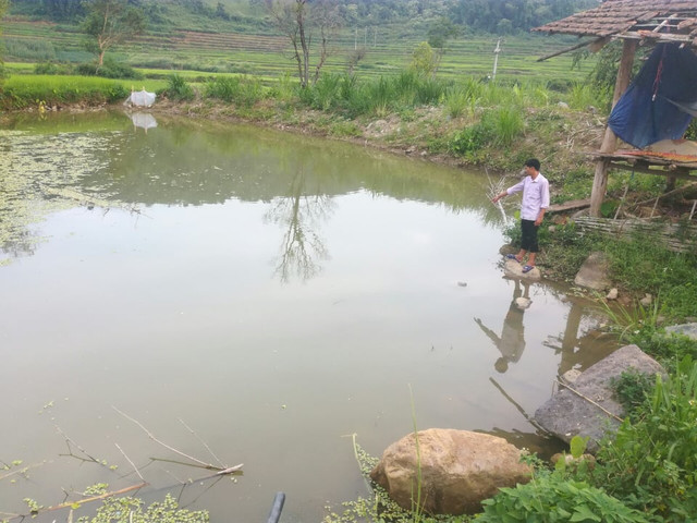 3 cháu nhỏ tử vong thương tâm ở Điện Biên 3 chau nho tu vong thuong tam o Dien Bien