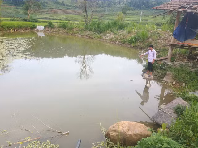 3 chau nho tu vong thuong tam o Dien Bien