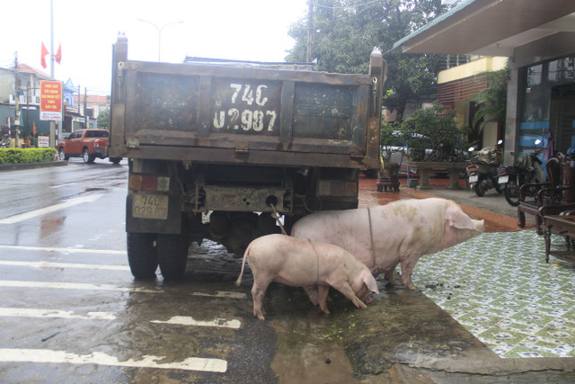 Hàng nghìn ngôi nhà ở miền Trung ngập lút nóc, dân bơi xuồng trên phố - Hình 10 Hang nghin ngoi nha o mien Trung ngap lut noc, dan boi xuong tren pho-Hinh-10