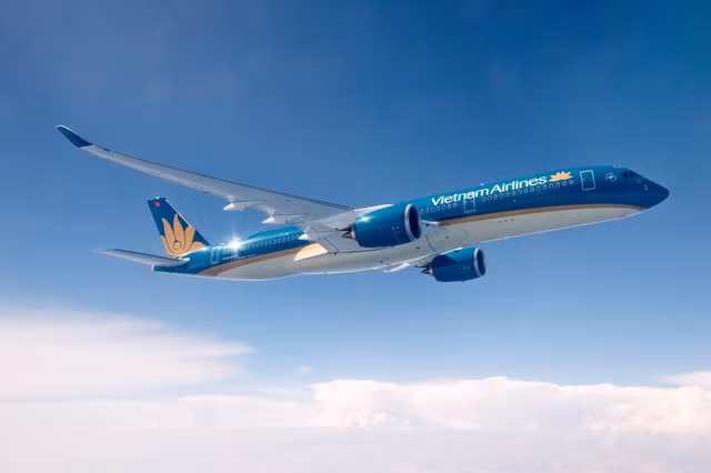 Va cham ong long, may bay Vietnam Airlines thung vo dong co
