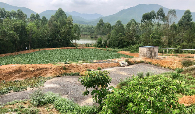 Cong ty gia cam Hoa Phat Phu Tho xa thai gay o nhiem moi truong khien ca chet hang loat-Hinh-3