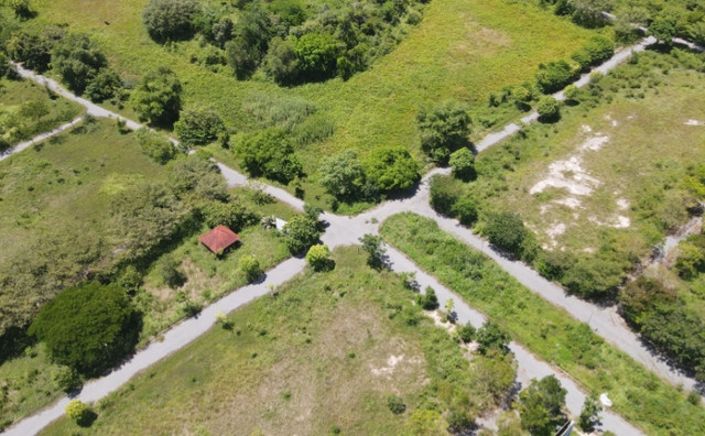 Cảnh hoang tàn tại dự án khu dân cư Giang Điền đang bị thanh tra - Hình 4 Canh hoang tan tai du an khu dan cu Giang Dien dang bi thanh tra-Hinh-4