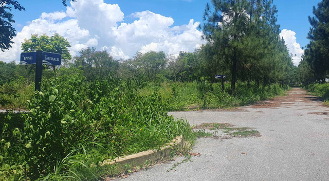 Cảnh hoang tàn tại dự án khu dân cư Giang Điền đang bị thanh tra - Hình 9 Canh hoang tan tai du an khu dan cu Giang Dien dang bi thanh tra-Hinh-9