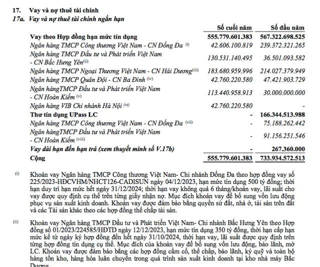 CADI-SUN the chap nha chu tich de vay tien lam an ra sao?