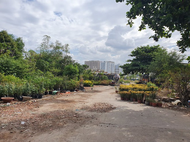 Dự án Prosper Phố Đông: Chính quyền địa phương khẳng định không cấp phép - Hình 2 Du an Prosper Pho Dong: Chinh quyen dia phuong khang dinh khong cap phep-Hinh-2