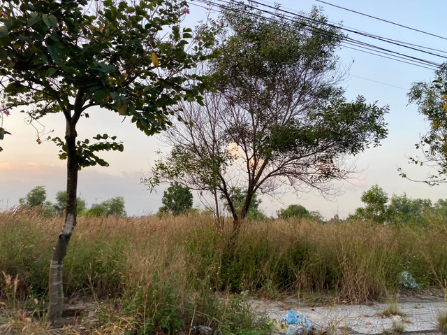 Vi sao Amata Bien Hoa van bo hoang 2,43 ha dat xay chung cu?-Hinh-30