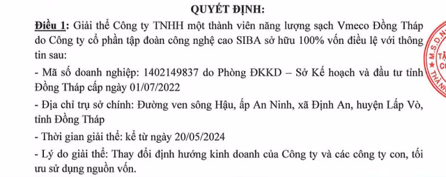 Siba Group co doanh thu thuan giam, giai the cong ty con