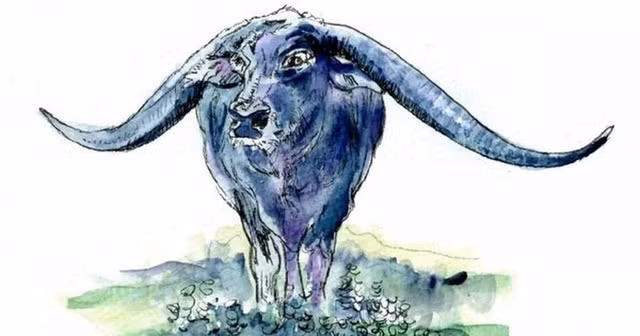 4 con giap nhan tin vui, tai loc rung rinh truoc ngay ong Cong ong Tao-Hinh-6