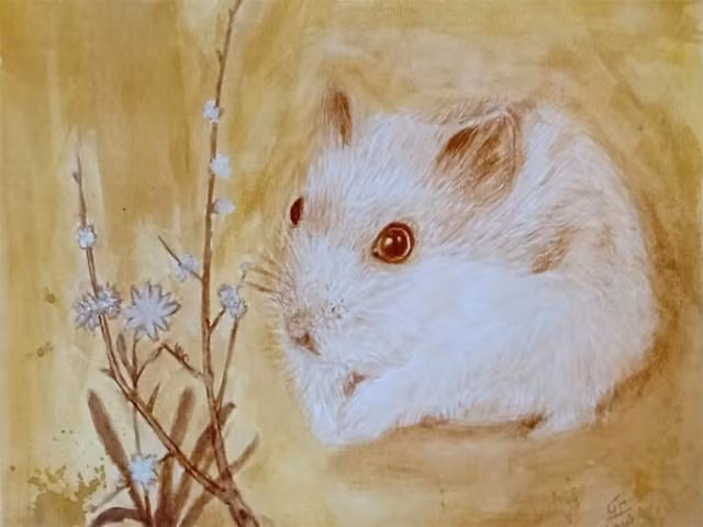 2 tuoi gap han Tam Tai, xui du duong trong nam 2024-Hinh-9