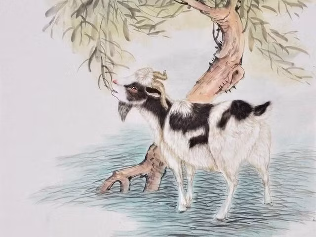 4 tuoi nhu Rong dap gio, lam gi cung hanh thong tu dau dong 2023-Hinh-11