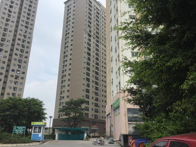 Rắn độc dài hàng mét bủa vây chung cư Xuân Mai Complex, cư dân khiếp sợ Ran doc dai hang met bua vay chung cu Xuan Mai Complex, cu dan khiep so