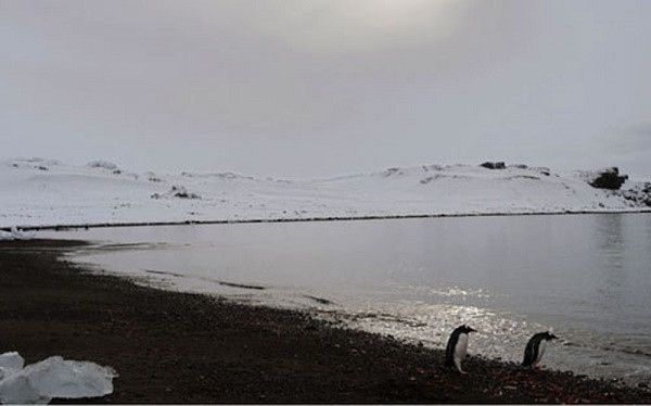 Sự thật bất ngờ bên trong những tiểu quốc gia kỳ lạ nhất hành tinh - Hình 10 Su that bat ngo ben trong nhung tieu quoc gia ky la nhat hanh tinh-Hinh-10