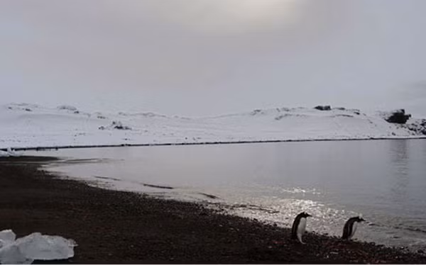 Su that bat ngo ben trong nhung tieu quoc gia ky la nhat hanh tinh-Hinh-10