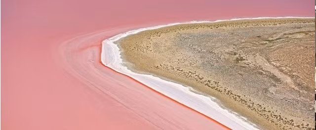 Biet gi ve ho nuoc bi an nhat the gioi?-Hinh-3