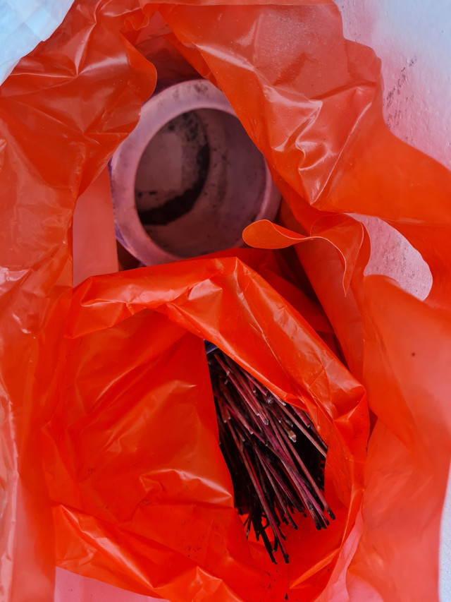 Thay bát nhang, rút tỉa chân nhang xong xử lý thế nào? - Hình 2 Thay bat nhang, rut tia chan nhang xong xu ly the nao?-Hinh-2