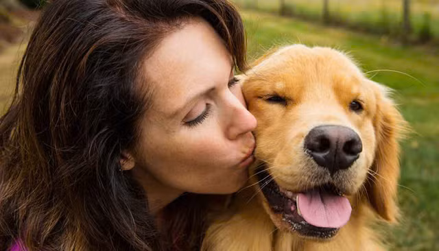 Chó cưng lại có nét giống chủ của chúng, lý do là gì? Cho cung lai co net giong chu cua chung, ly do la gi?