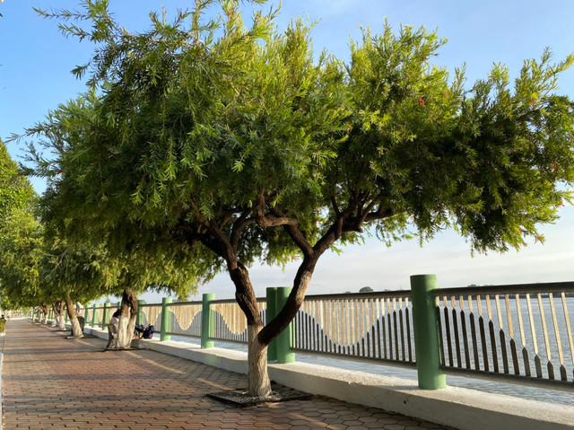 “Vui quên lối về” tại những con phố đi bộ rực rỡ sắc màu dịp Tết - Hình 8 “Vui quen loi ve” tai nhung con pho di bo ruc ro sac mau dip Tet-Hinh-8