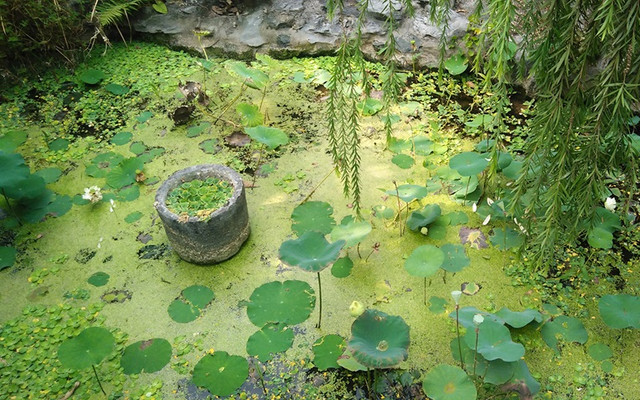 Khám phá vẻ đẹp chùa Biện Sơn - di tích lịch sử cấp Quốc gia - Hình 10 Kham pha ve dep chua Bien Son - di tich lich su cap Quoc gia-Hinh-10