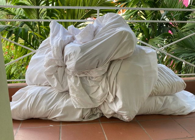 Phuoc Tan (Dong Nai): Khu nghi duong va dieu tri Phuc hoi chuc nang Thien Tam xay trai phep tren dat nong nghiep?-Hinh-51