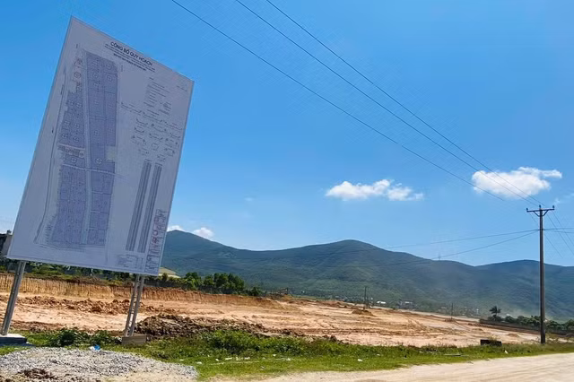 Cong ty duoc giao gan 130ha dat o Nghe An loi lai nhu the nao?