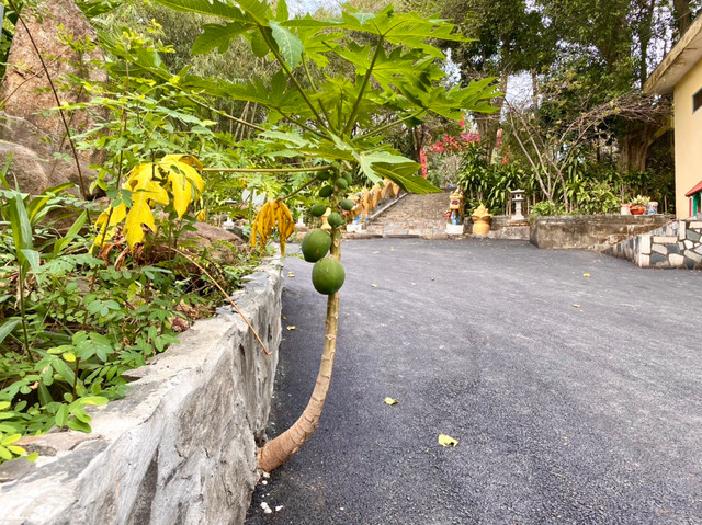 8 dia diem du xuan dau nam moi nhat dinh phai ghe tham tai Dong Nai-Hinh-21