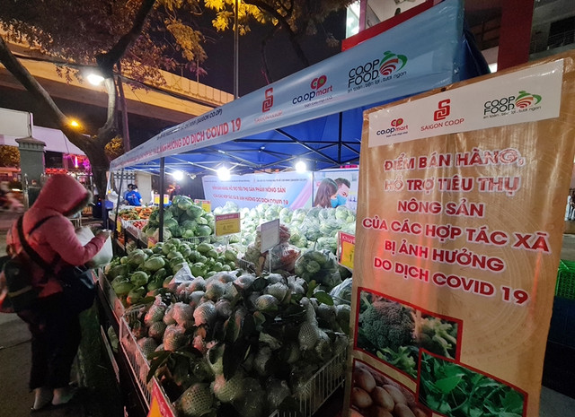 BigC, Co.opmart, Vinmart cũng giải cứu nông sản Hải Dương - Hình 12 BigC, Co.opmart, Vinmart cung giai cuu nong san Hai Duong-Hinh-12