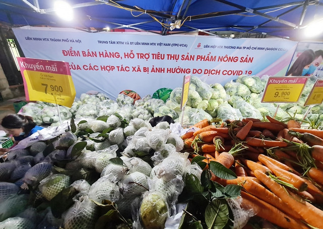 BigC, Co.opmart, Vinmart cũng giải cứu nông sản Hải Dương - Hình 8 BigC, Co.opmart, Vinmart cung giai cuu nong san Hai Duong-Hinh-8